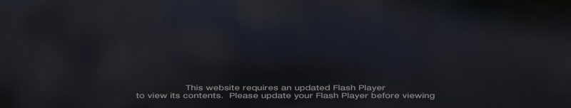 Flash Download